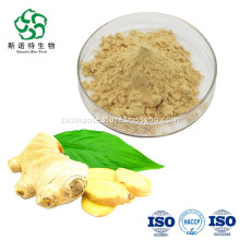Water Soluble Ginger Extract Powder 10:1